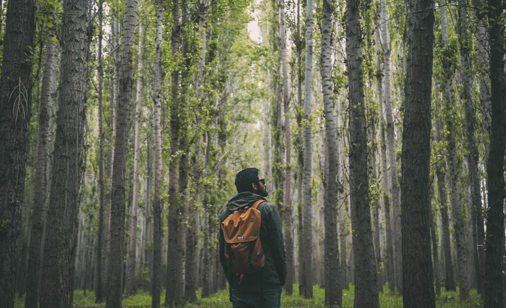 Mann steht im Wald und schaut nach oben mit Rucksack und Brille